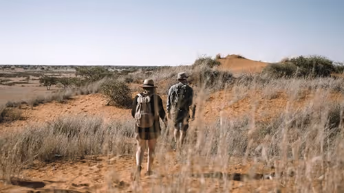Hikers revel in the vast beauty of the Kalahari dunes and savannahs on the Trans Kalahari Hike.