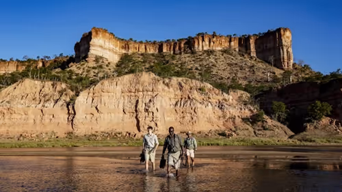 Enhance your self-drive Zimbabwe safari with an expert-led nature walk experience.