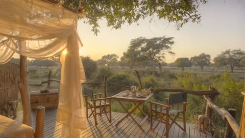 Views of the dense African bush surrounding your lodge in the South Luangwa National Park.
