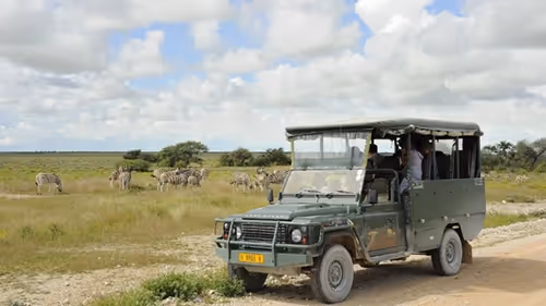 Guests enjoy a game drive in Etosha, spotting zebra and springbok in the wild.