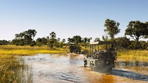 Safari game drive vehicles navigate through waterways in the Okavango Delta.
