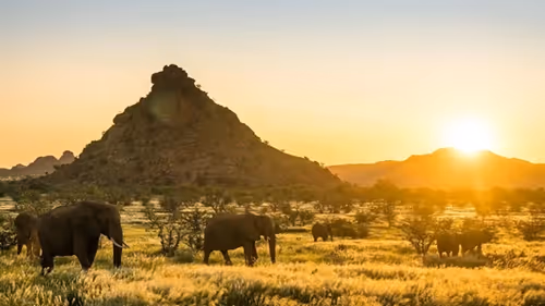 Silhouetted elephant at sunset against the dramatic skyline of Damaraland, Namibia.