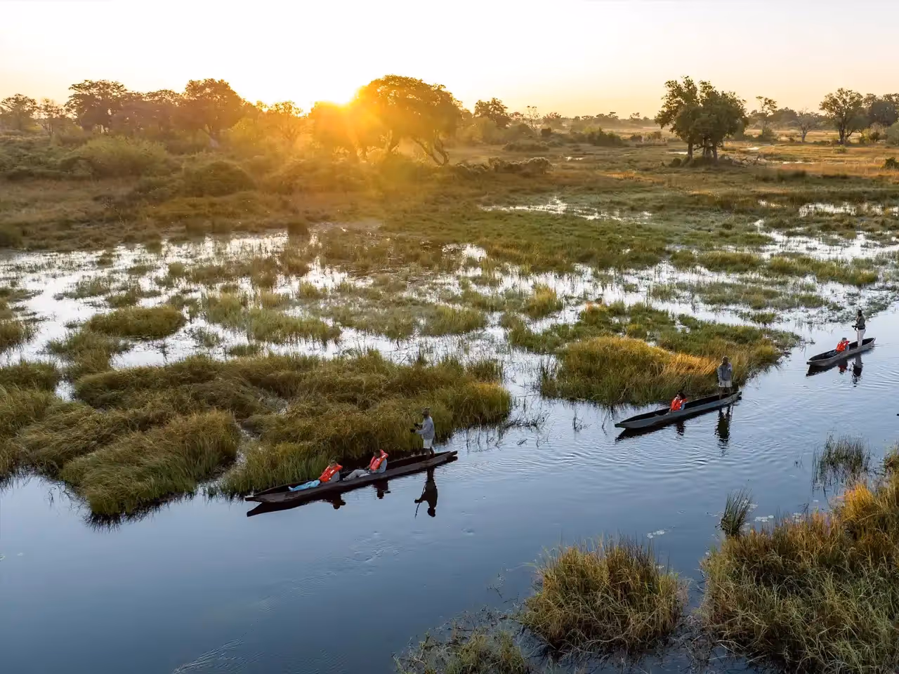 North Island Okavango