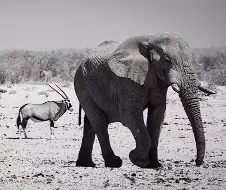Is Namibia a Sustainable Destination?