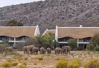 Sanbona Wildlife Reserve