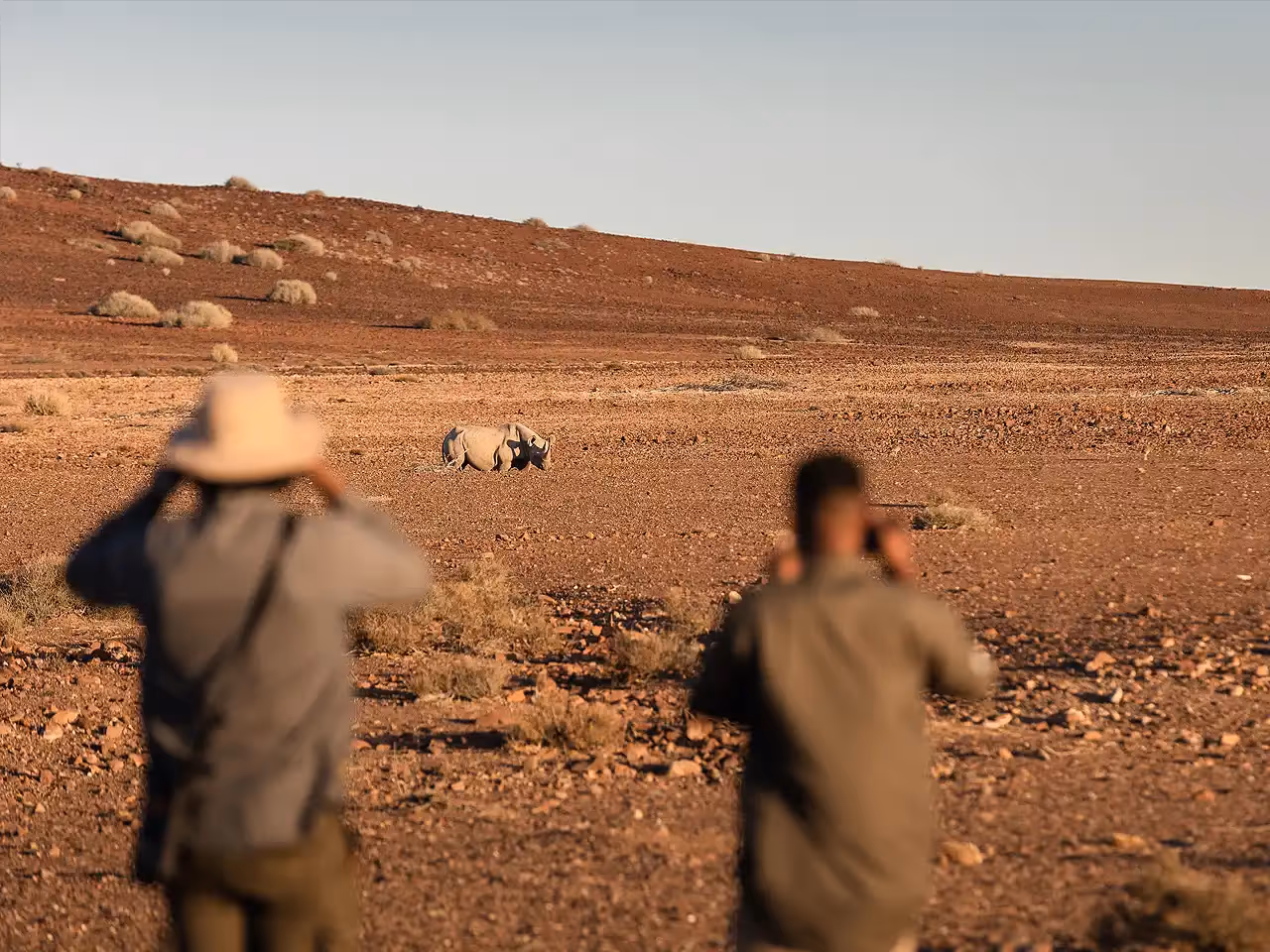 Desert Rhino Camp