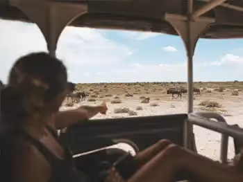 Go game watching in Etosha National Park