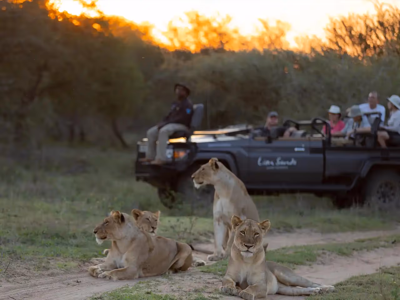 Lion Sands Ivory Lodge