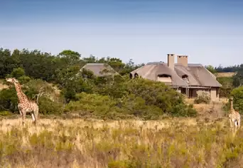 Gondwana Game Reserve