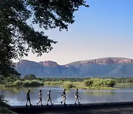 Madikwe Game Reserve and the North West