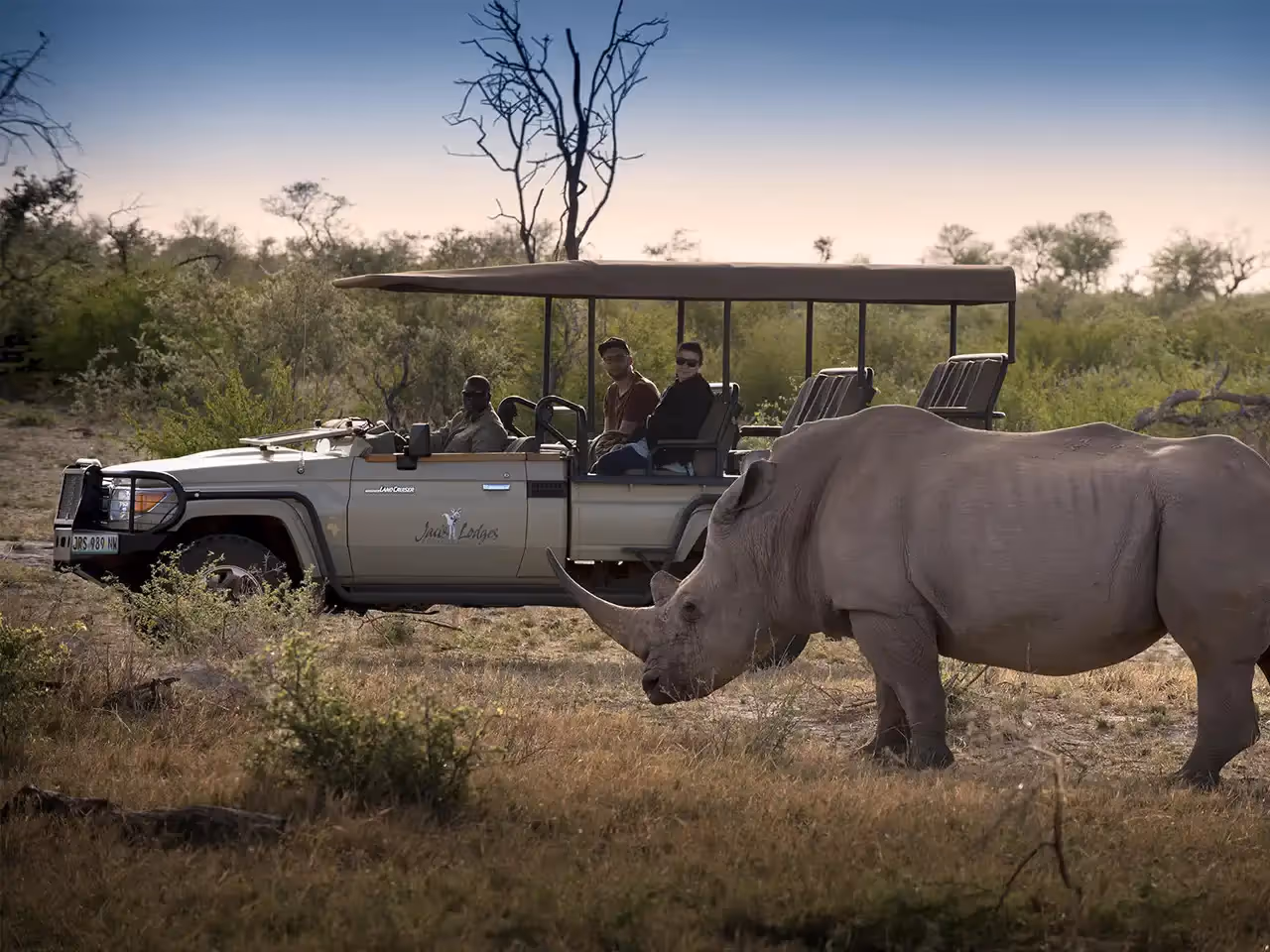Explore the Madikwe Game Reserve and see if you can spot rhino