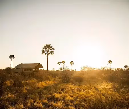 Planning a Trip to the Makgadikgadi Pans? Here’s the Best Time to Go