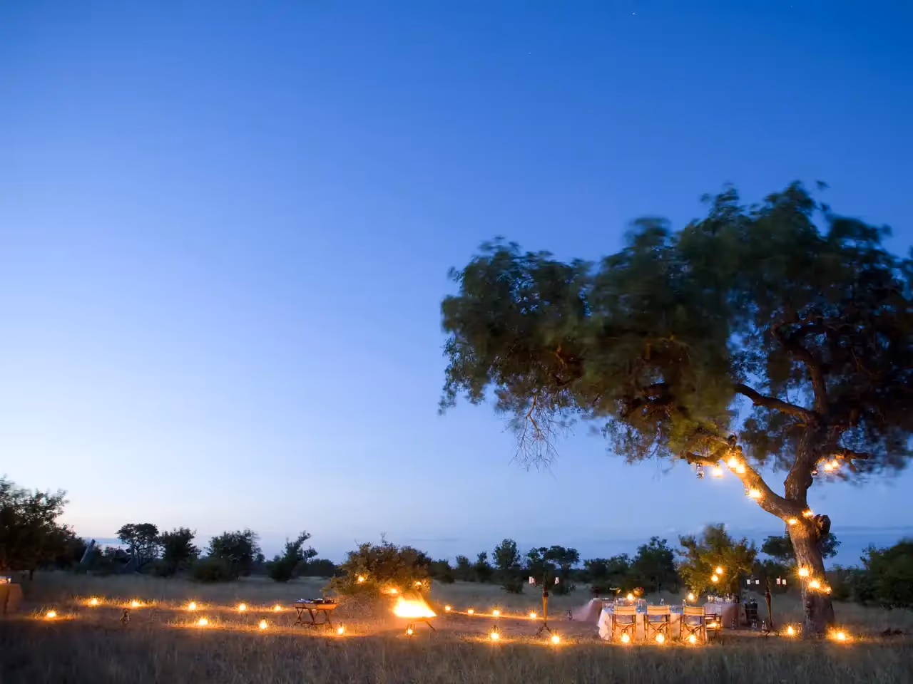Ngala Safari Lodge