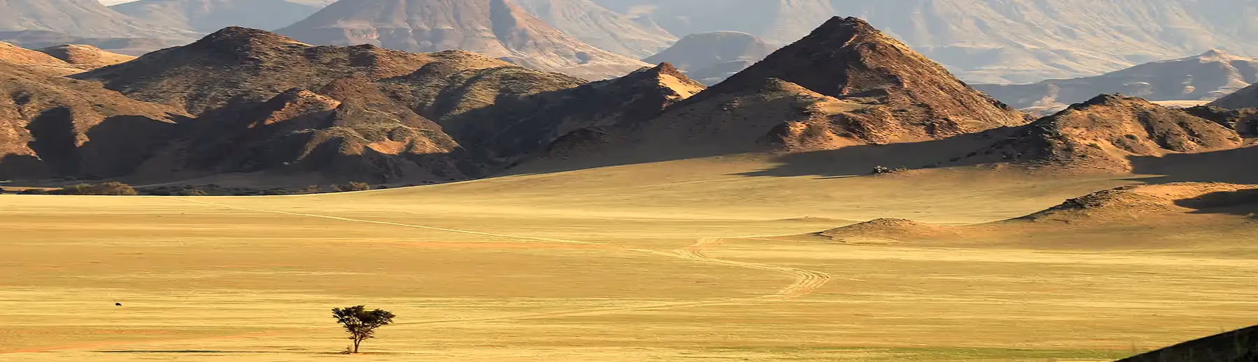 Beautiful sweeping view of Damaraland, with open grasslands and distant mountains creating a stunning, wild landscape.
