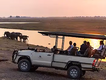Chobe Elephant Camp game drive
