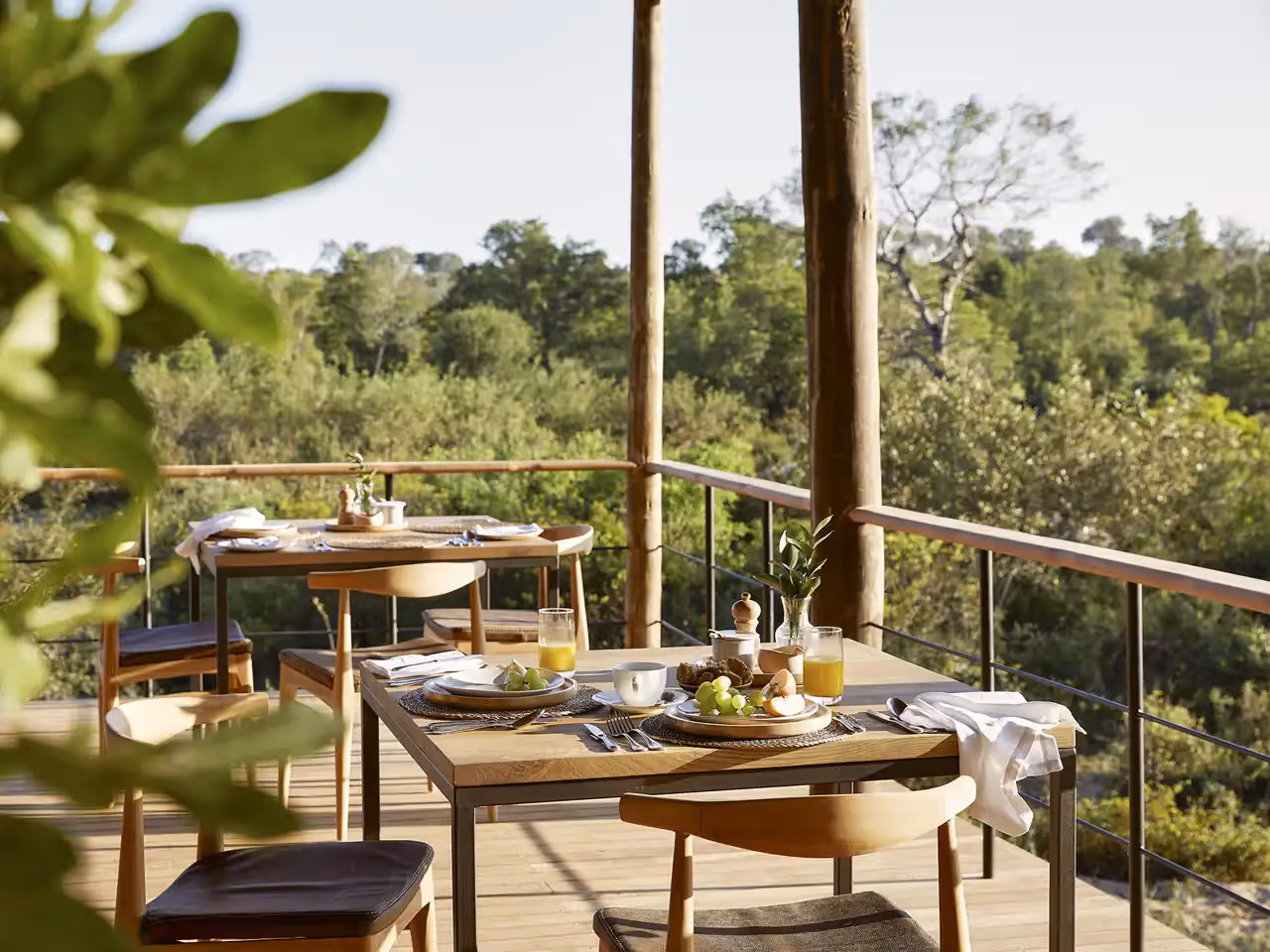 Londolozi Founders Camp