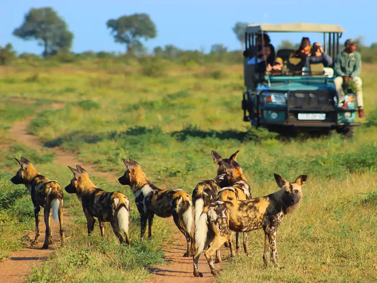 Lukimbi Safari Lodge