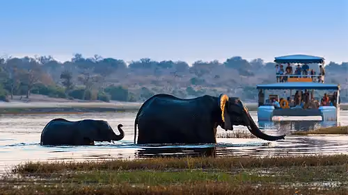 River cruise at Chobe Elephant Camp