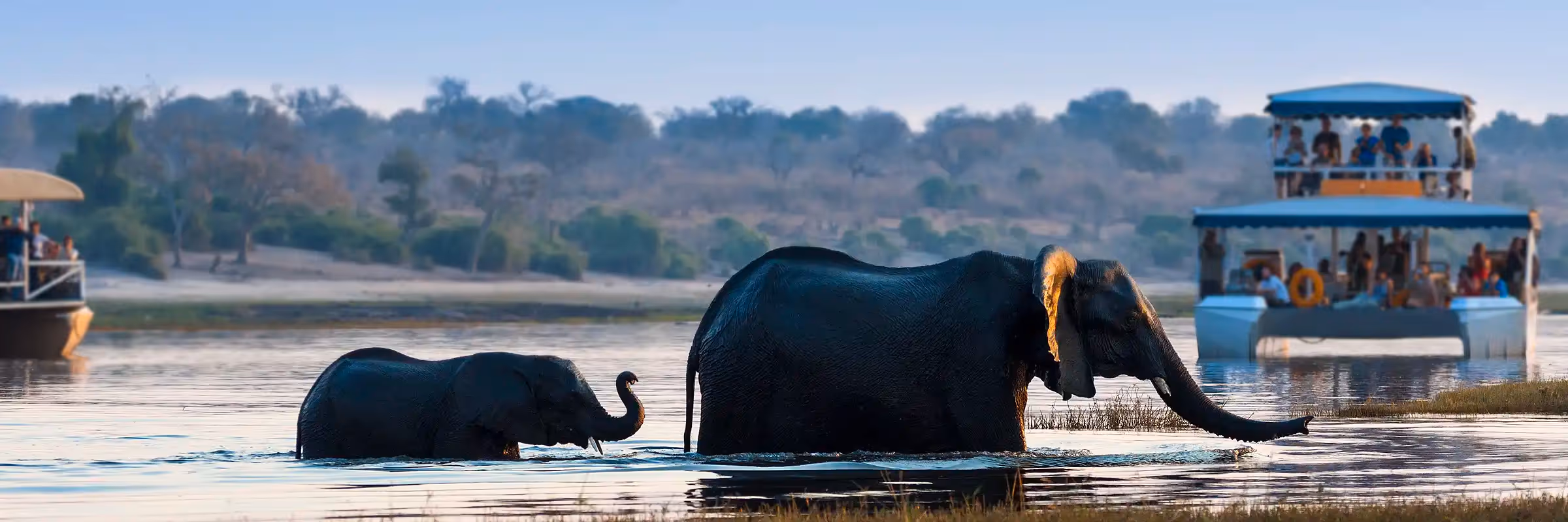 River cruise at Chobe Elephant Camp
