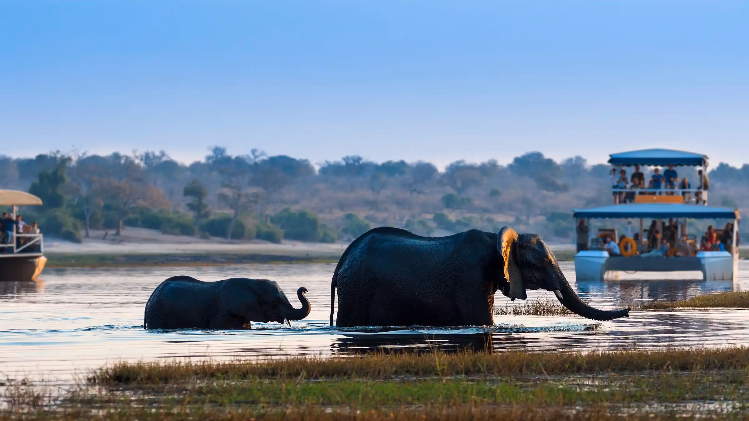 River cruise at Chobe Elephant Camp
