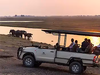 Game drive with Chobe Elephant Camp