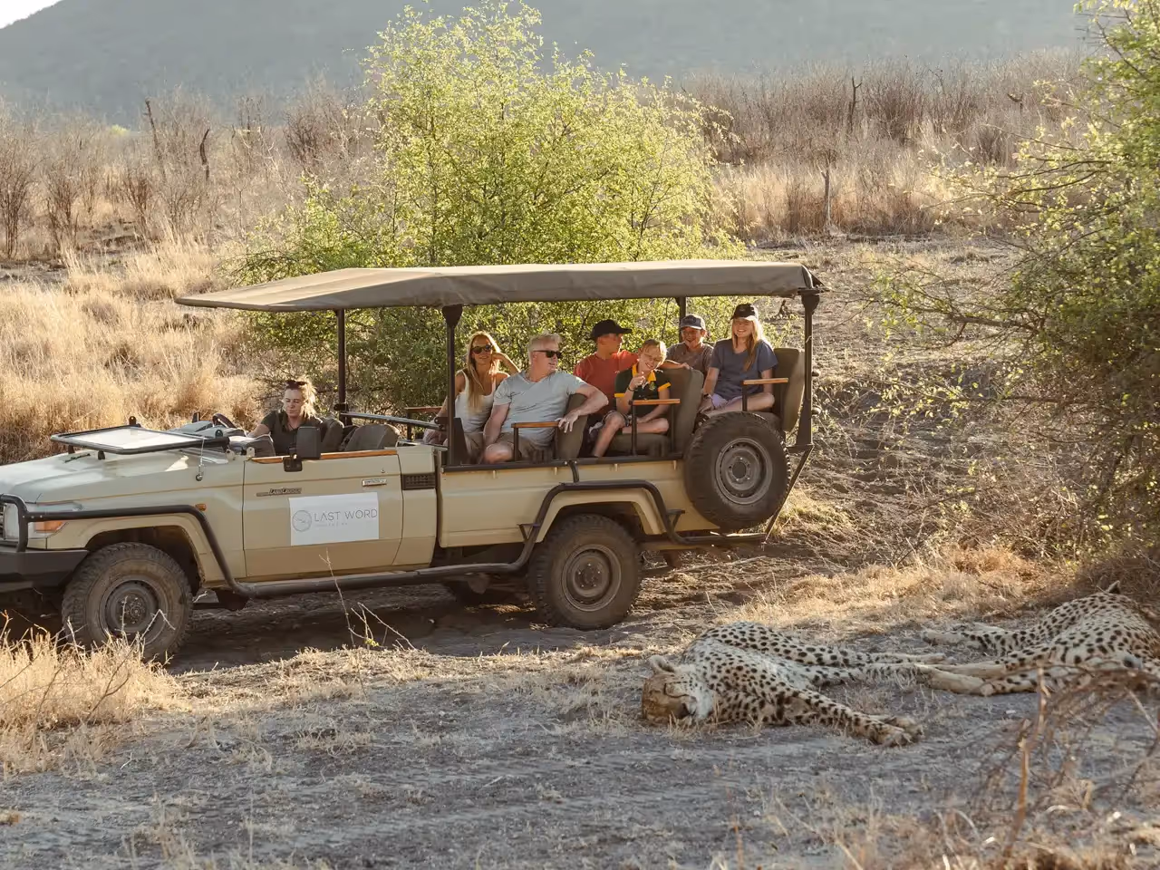 The Last Word Madikwe