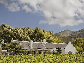 A view of the cape winelands