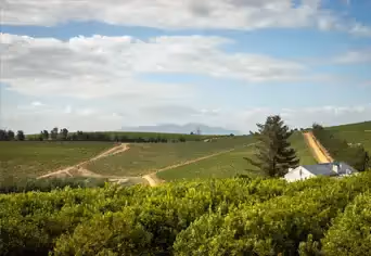 Marianne Wine Estate