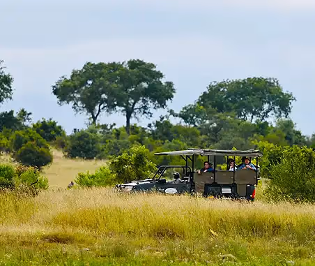 Why Zambia Is One of Africa’s Best Safari Destinations