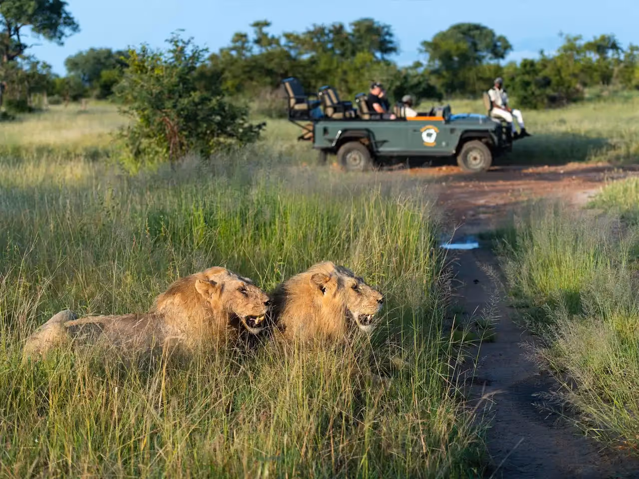 Kambaku Safari Lodge