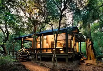 Phinda Forest Lodge
