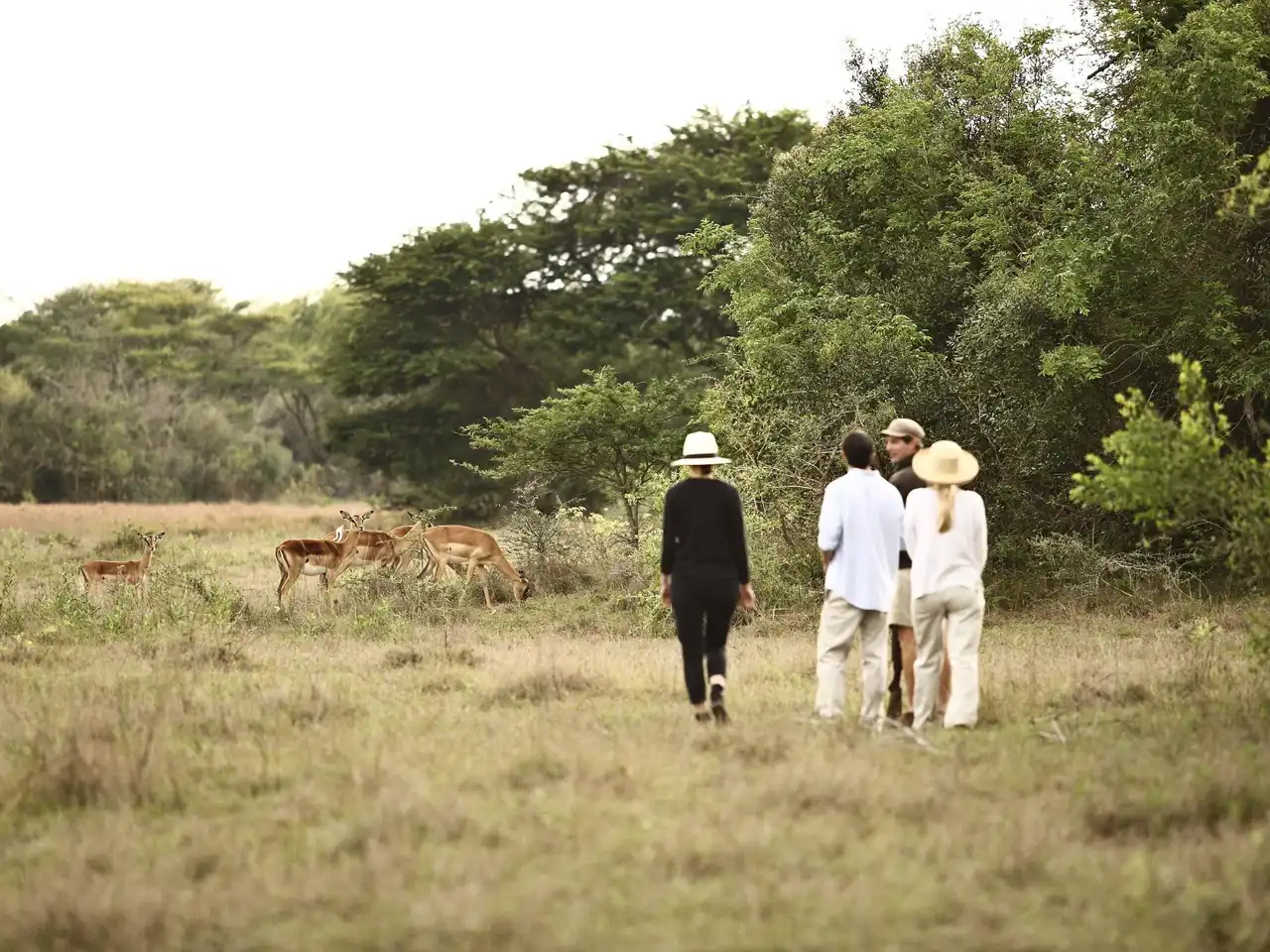 Phinda Vlei Lodge