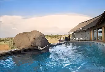 Mhondoro Safari Lodge & Villa