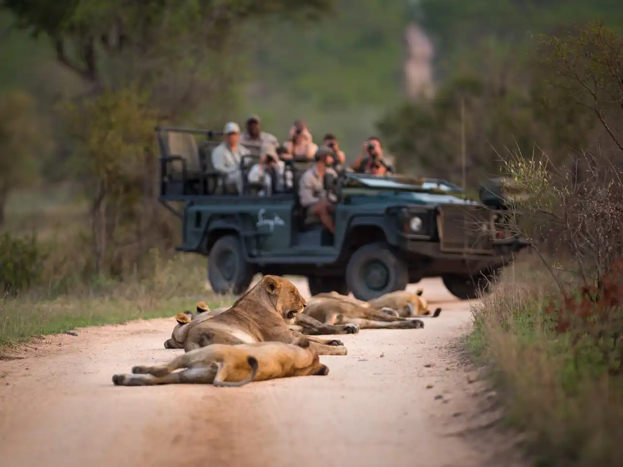 Singita Boulders Lodge