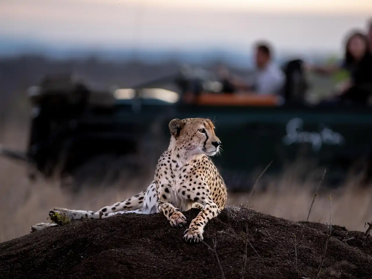 Singita Ebony Villa