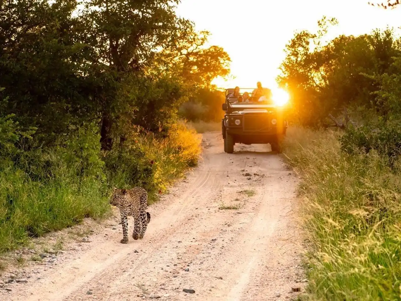 Singita Ebony Villa