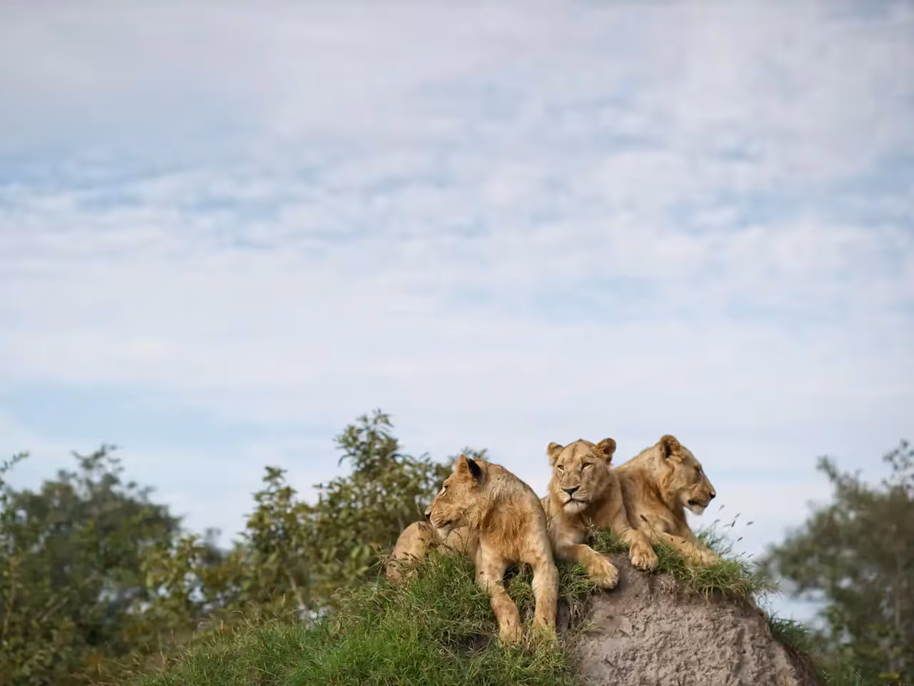 Singita Lebombo Villa