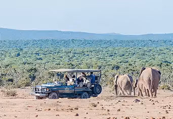 Addo Elephant Main Camp