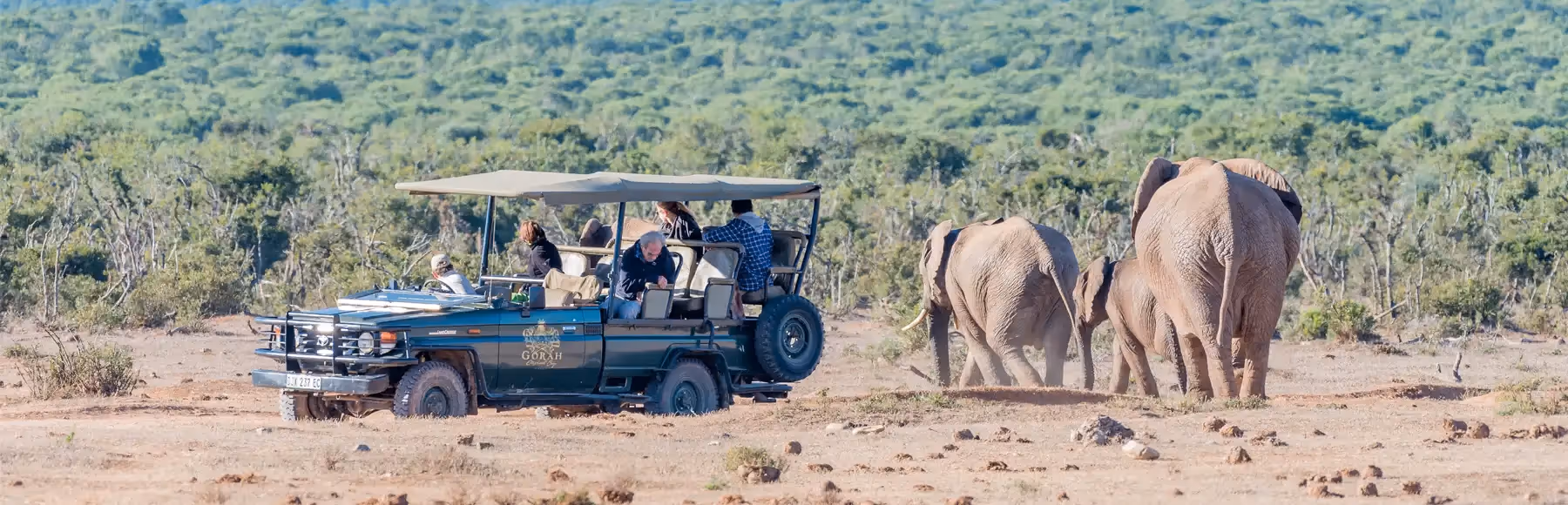 Addo Elephant Main Camp