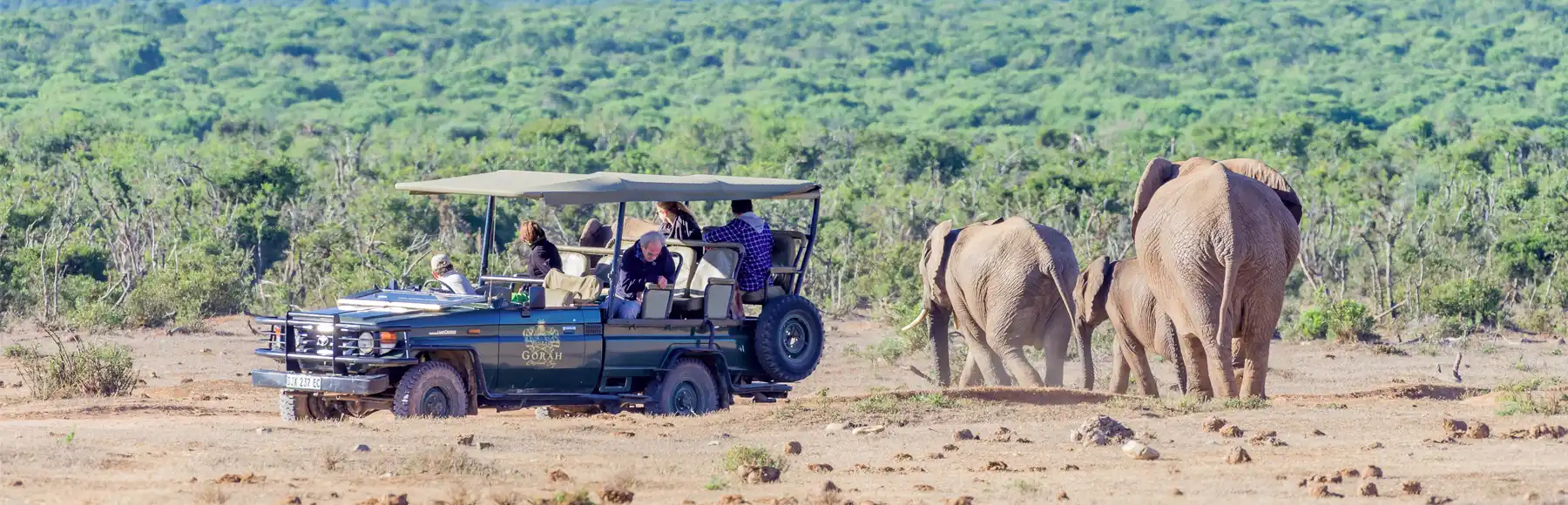Addo Elephant Main Camp