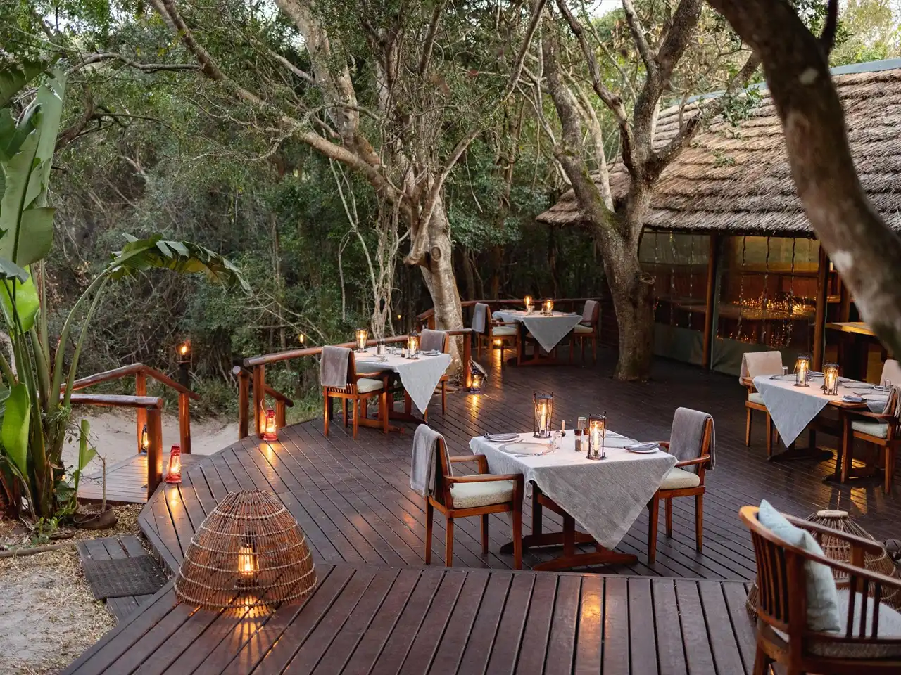 Kosi Forest Lodge