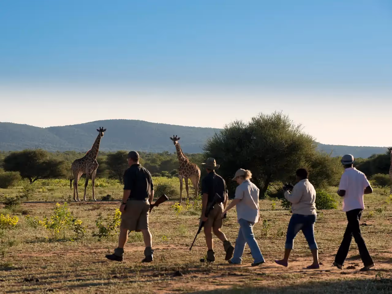 Marataba Mountain Lodge