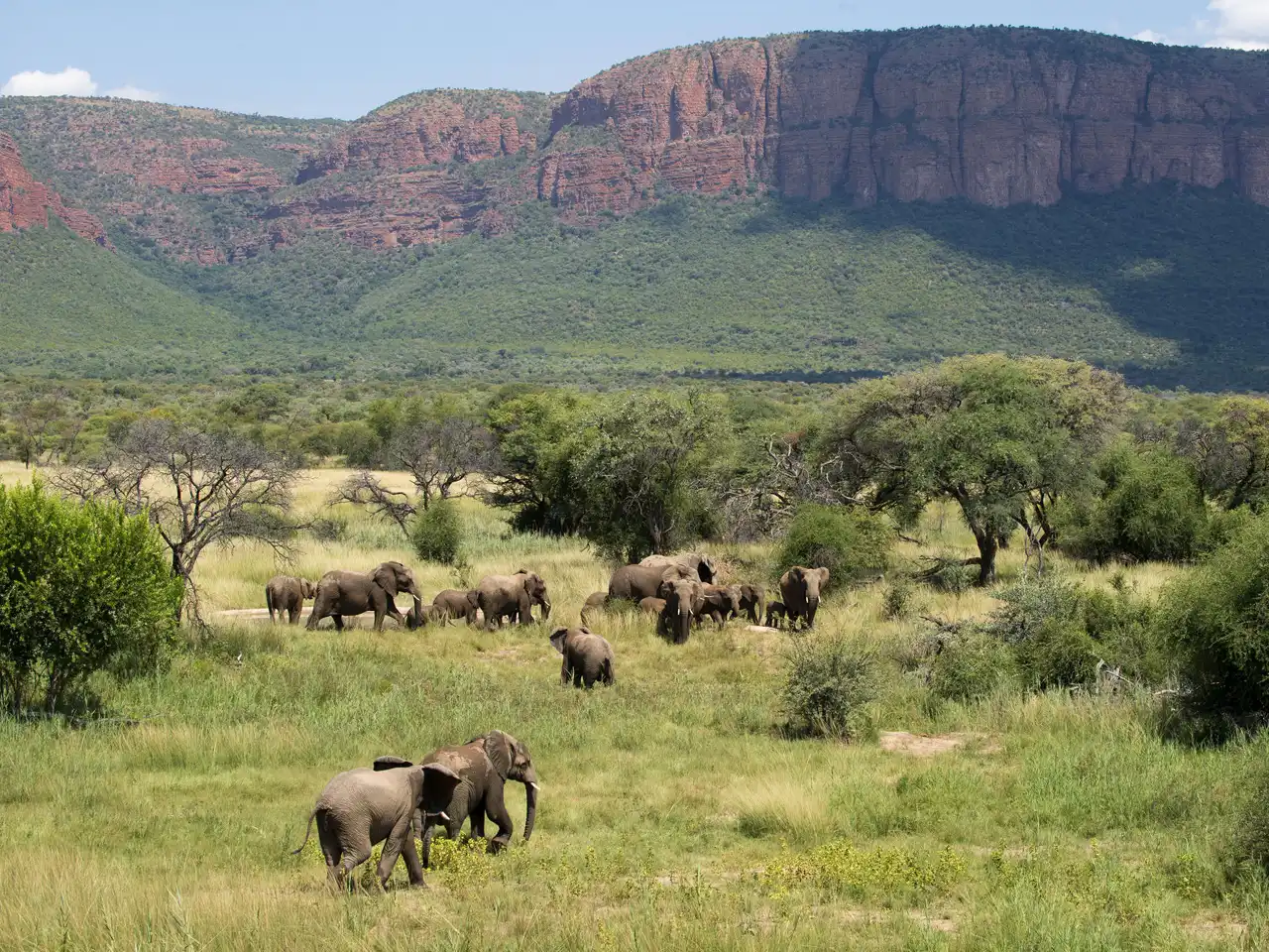 Marataba Mountain Lodge