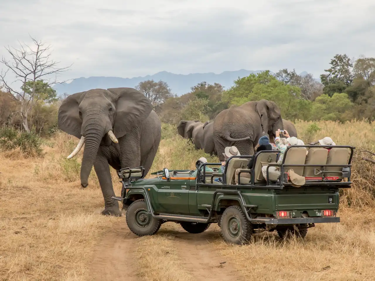 Chisomo Safari Camp