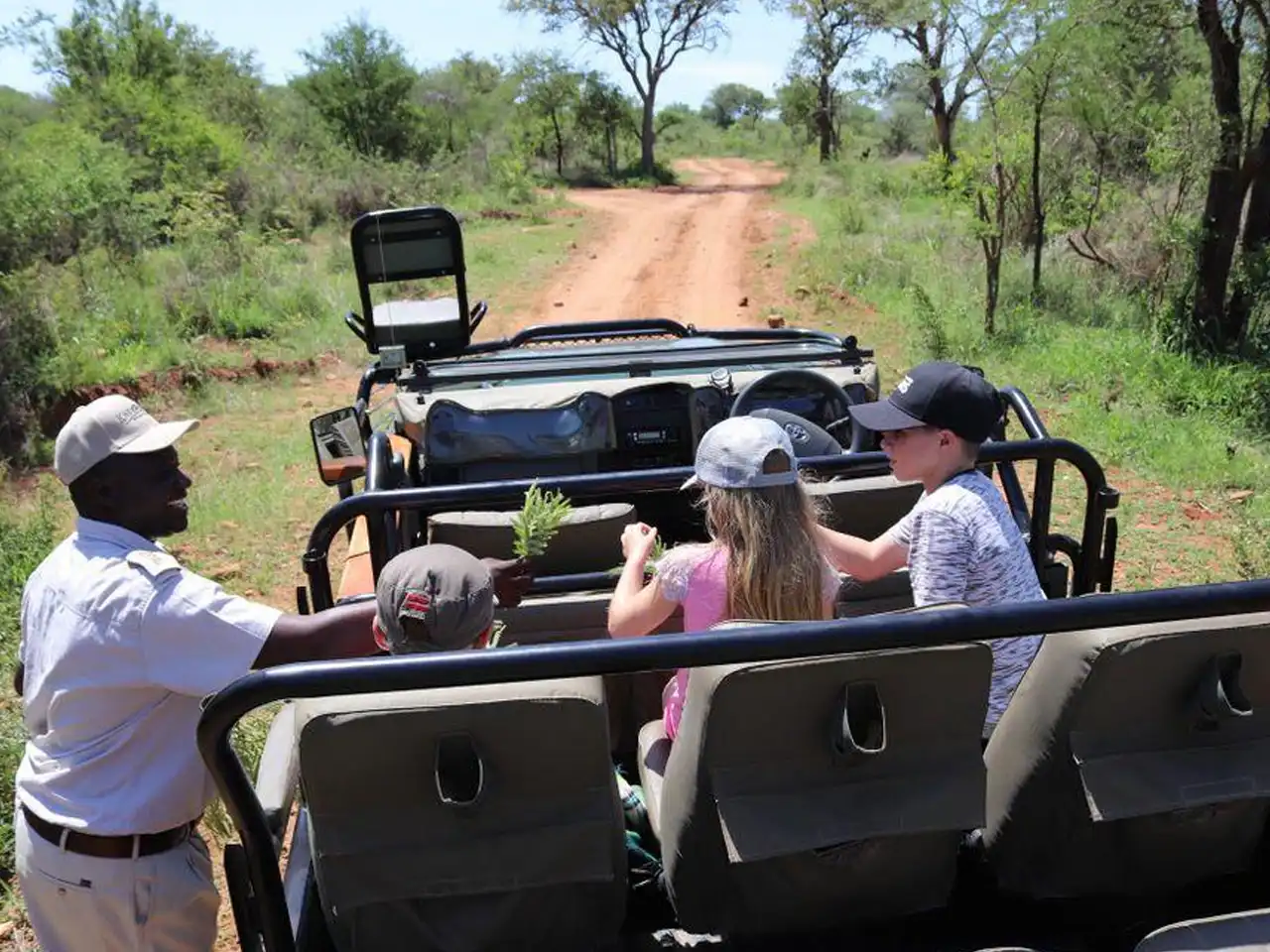 Chisomo Safari Camp