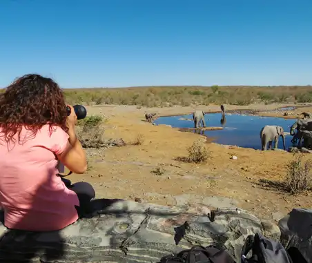 Photographing a herd of elephants drinking at a waterhole in Etosha National Park, Namibia