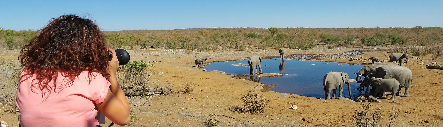 Photographing a herd of elephants drinking at a waterhole in Etosha National Park, Namibia
