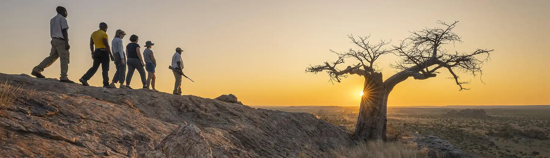 Guided walking safari at sunset in Botswana’s Tuli Block, with travellers silhouetted against the horizon beside a baobab tree.