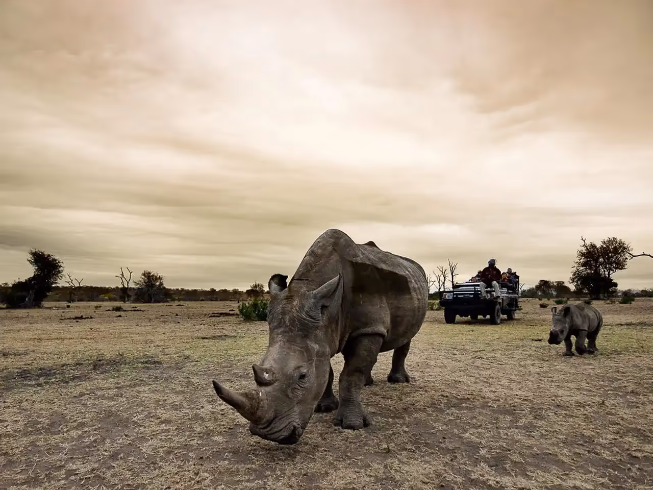 Sabi Sabi Bush Lodge