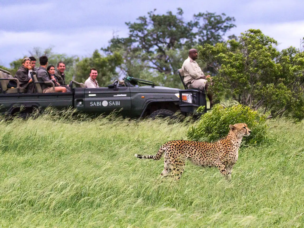 Sabi Sabi Little Bush Camp